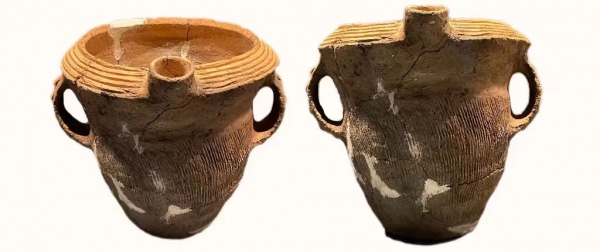 1677209562923375.jpeg 640 (10).jpeg