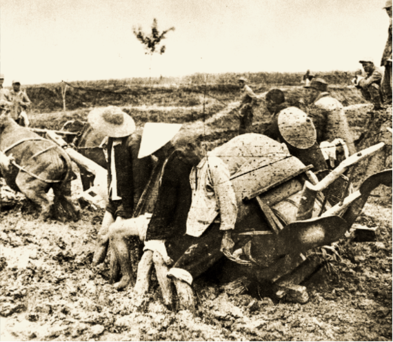 1668155312862399.png 图片7.png