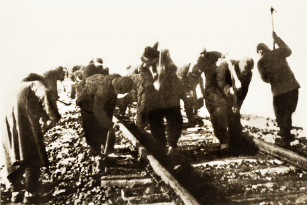 1668155257501793.png 图片4.png