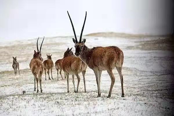 1671527283444087.jpg 微信图片_20221220170127.jpg