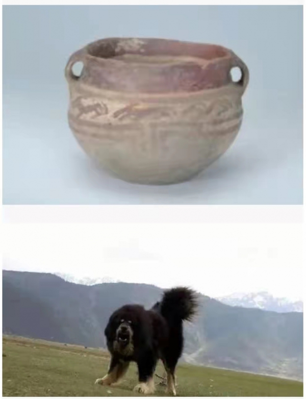 1671527537905775.jpg 微信图片_20221220170217.jpg