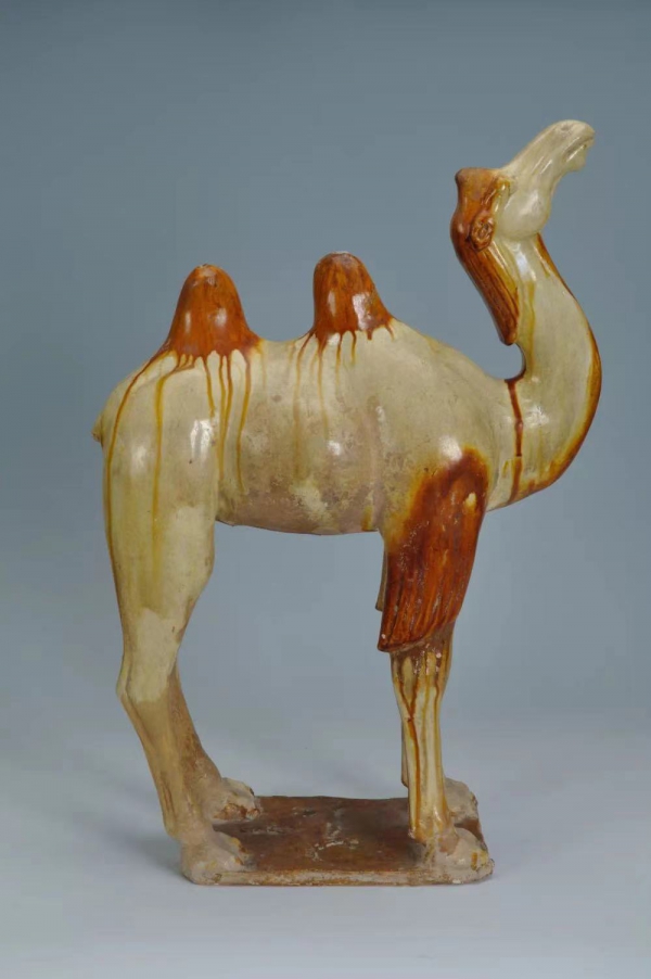 1669895215103263.jpg 微信图片_20221201194420.jpg