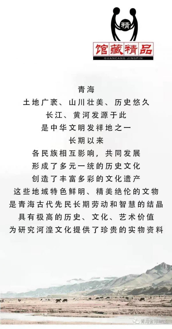 1643531351108065.jpg 652235333.jpg